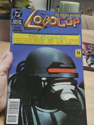 Comics lote 7 LOBO