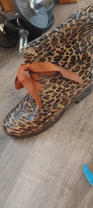 Lote de Zapatos Variados