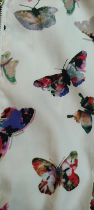 Cazadora bomber mariposas multicolor