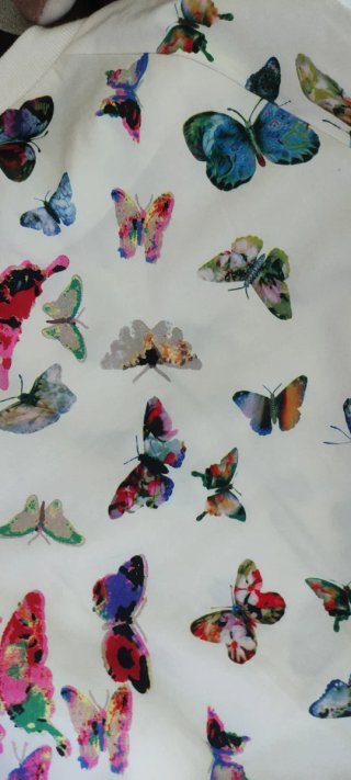 Cazadora bomber mariposas multicolor