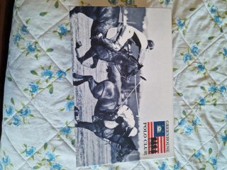 Scarpe  Greenhouse Polo Club nere