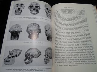 SALDO-Lote 5 Libros Antiguos Ed. Labor Años 40
