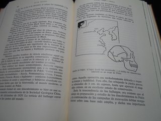 SALDO-Lote 5 Libros Antiguos Ed. Labor Años 40