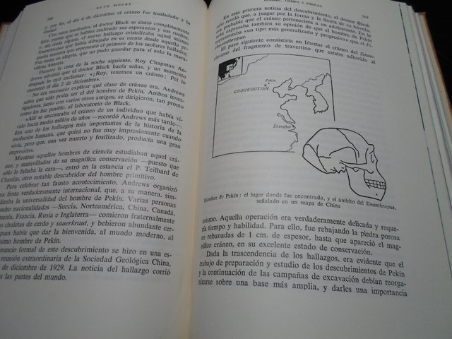 SALDO-Lote 5 Libros Antiguos Ed. Labor Años 40