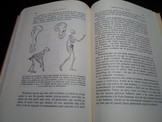 SALDO-Lote 5 Libros Antiguos Ed. Labor Años 40