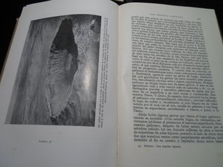 SALDO-Lote 5 Libros Antiguos Ed. Labor Años 40