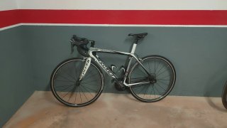Bici da Strada Coluer Top Chrono Carbono