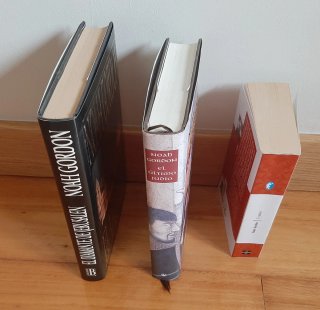 Lote de 3 libros de Noah Gordon