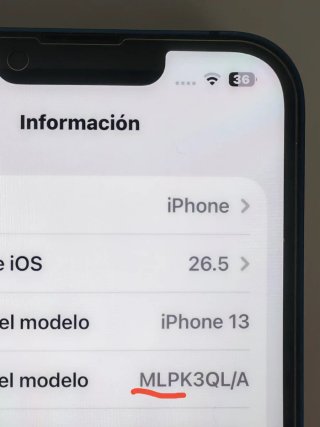 iPhone 13