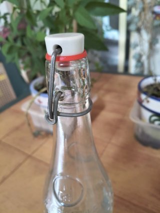 Botella antigua Geyer Freres 1895
