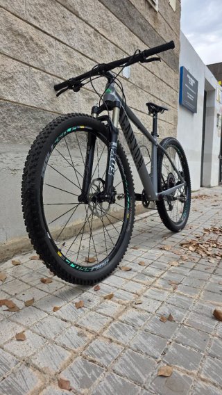 Canyon Grand Canyon XT 1x11 FOX Crossmax 29 taglia M