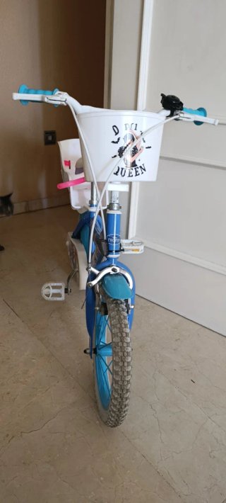 Bicicleta Frozen 14 pulgadas con cesta y asiento