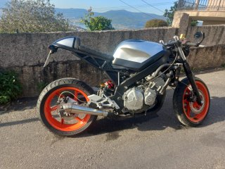 Honda CBR 600 Caferacer
