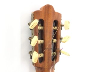 guitarra clasica francisco esteve sin modelo