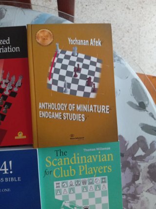 Libros ajedrez en ingles