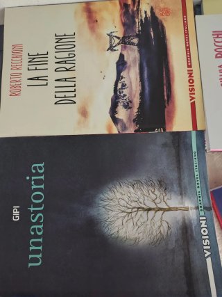 35 fumetti graphic novel italiano serie Visioni