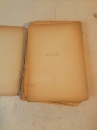 Russo,L. ( a cura di) Pindemonte "Odissea" D'Anna
