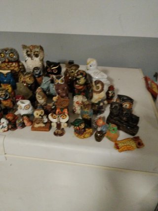 Collezione di figure di gufi
