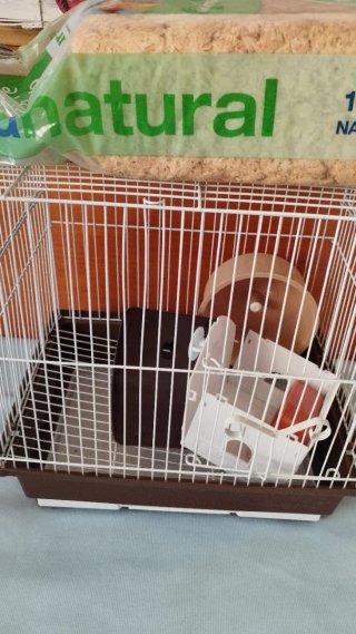 Jaula para hámster con accesorios + virutas