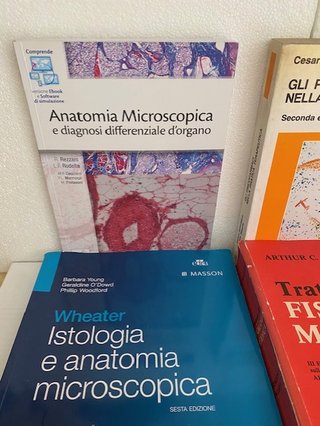Lotto 6 Libri universitari professionali medicina