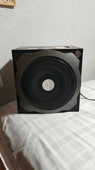 Subwoofer Trust Negro/Gris
