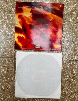 Vinilo Paul McCartney Flowers in the Dirt