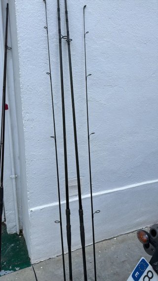 Cañas de pescar Daiwa Great Britain