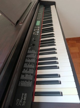 Piano Digital Ringway TG-8826