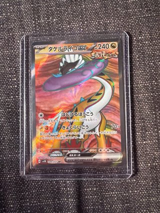 Carta Pokémon Raikou EX 240 HP