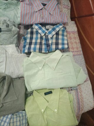 Lote de Camisas, Polos y Cazadoras.