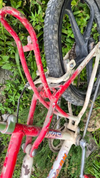 Bicicleta BH California Star 3 Roja