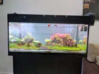 Acuario de Concurso High Tech