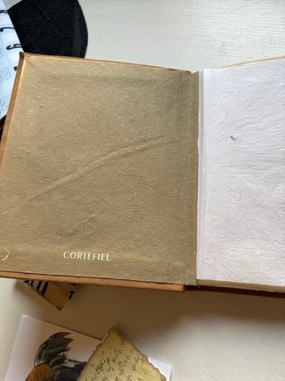 Álbum de fotos de piel (ante)