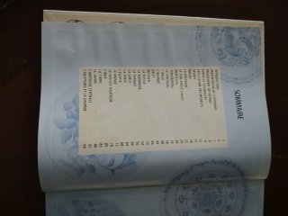 Peindre la porcelaine