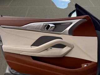 BMW Serie 8 2019