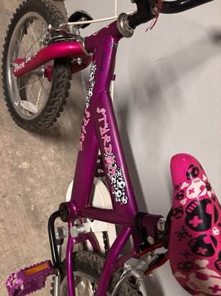Bicicleta per bambini 16 pollici viola