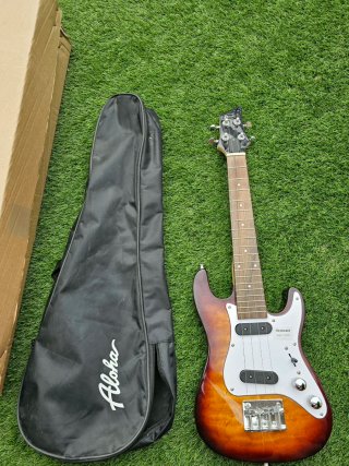 Ukulele elettronico Clearwater