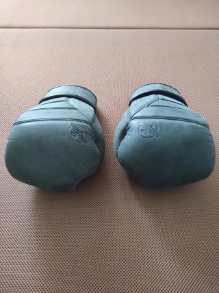Guantes PRO Boxeo Hayabusa Tokushu Regenesis 16oz