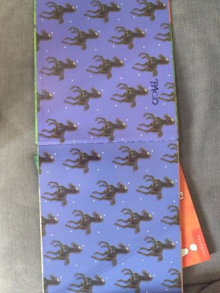 El caballo y la alegría. El poni y la amistad.