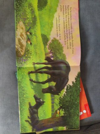 El caballo y la alegría. El poni y la amistad.