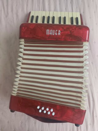Fisarmonica Mauer Junior 22 tasti 8 bassi