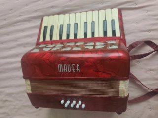 Fisarmonica Mauer Junior 22 tasti 8 bassi