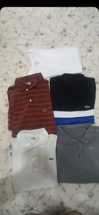 Pack 5 Polos y Camisetas Lacoste Talla L
