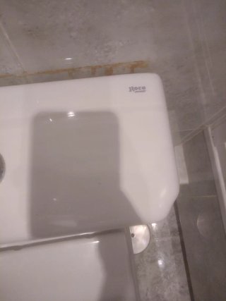 Taza de baño y bidé