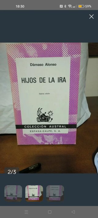 Hijos de la ira