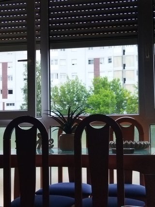 Sillas de comedor de madera y terciopelo.