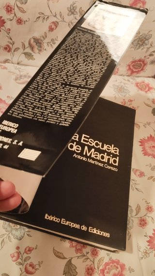 La Escuela de Madrid (Colección Arte español ...