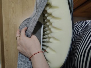 Cama perro