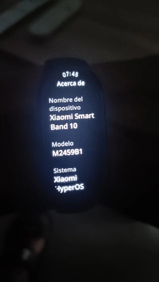 Xiaomi Mi Smart Band 10 Negra