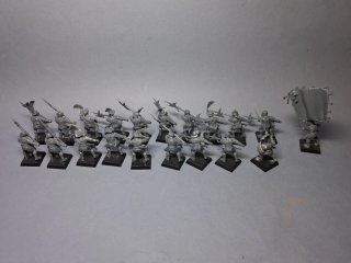 20 Tropas Alabarda Imperio Warhammer